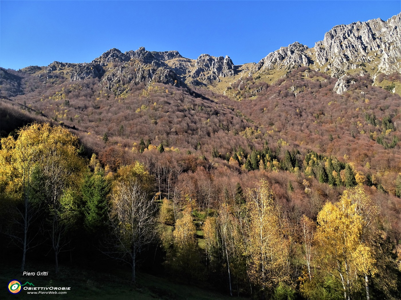 65 Splendidi colori autunnali suio fianchi boscosi del Venturosa.JPG